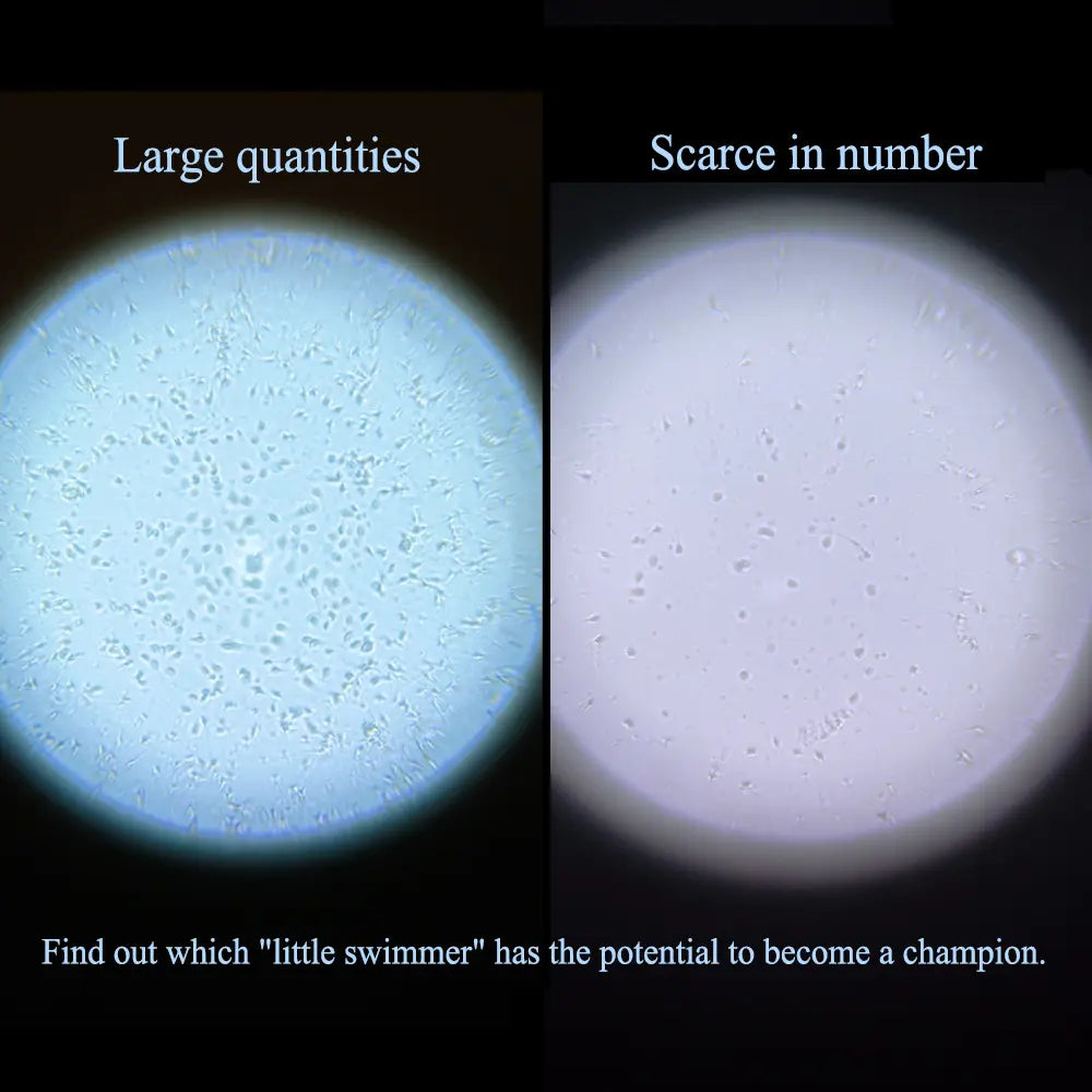 Magnifier Pro Disposable Clear Field of View Private and Easy to Use Disposable Lens (Reusable Base)